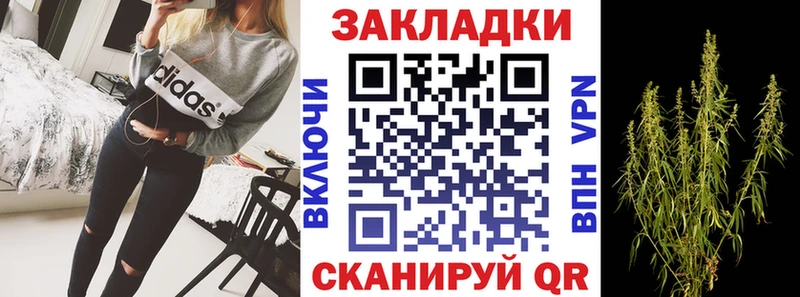 Что такое Калач Псилоцибиновые грибы  Конопля  Меф  Гашиш  Кокаин 