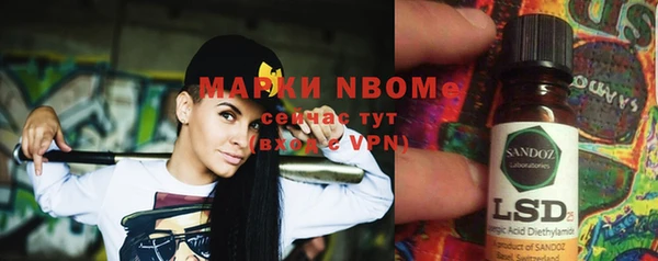 индика Армянск
