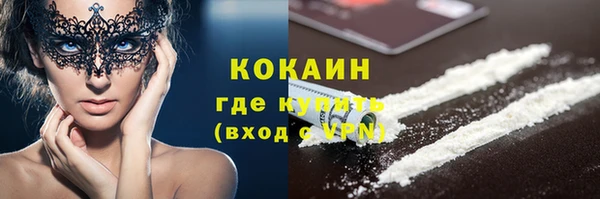 индика Армянск