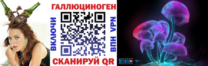 Галлюциногенные грибы Psilocybine cubensis  Калач 